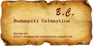 Budaspitz Celesztina névjegykártya